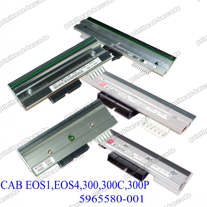 Printhead for CAB EOS1 EOS4 300 300C 300P 5965580-001 - Click Image to Close